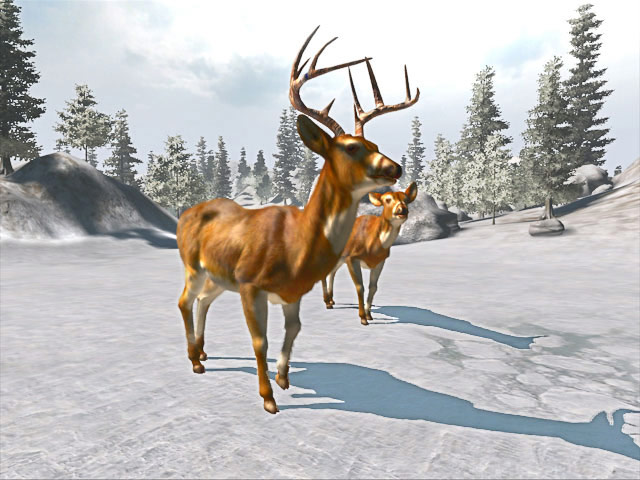 Cabela's Big Game Hunter Trophy Bucks screenshot