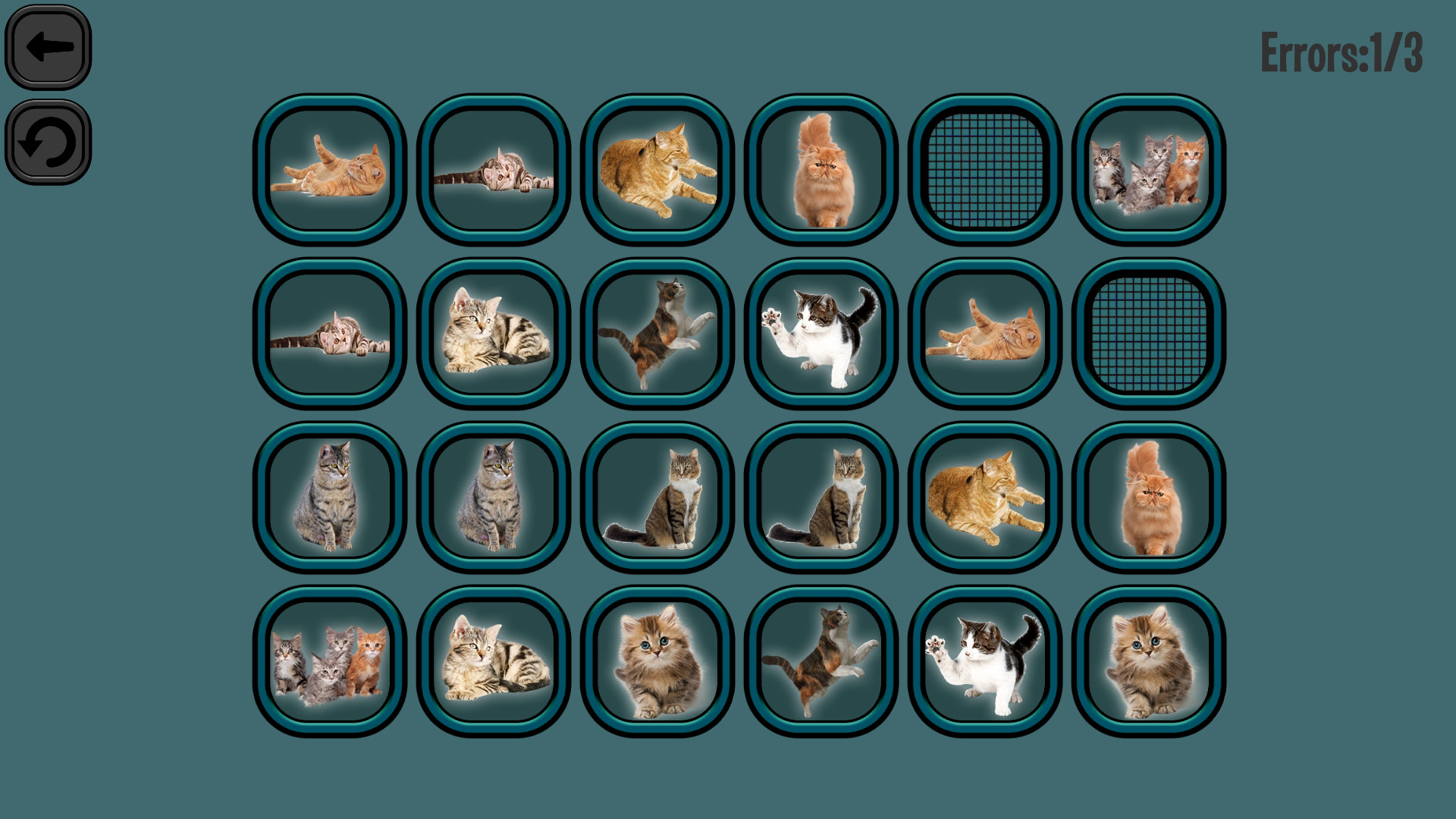 Animals Memory: Cats screenshot