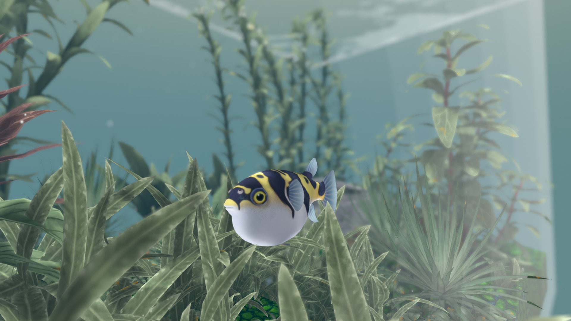 FISHERY screenshot