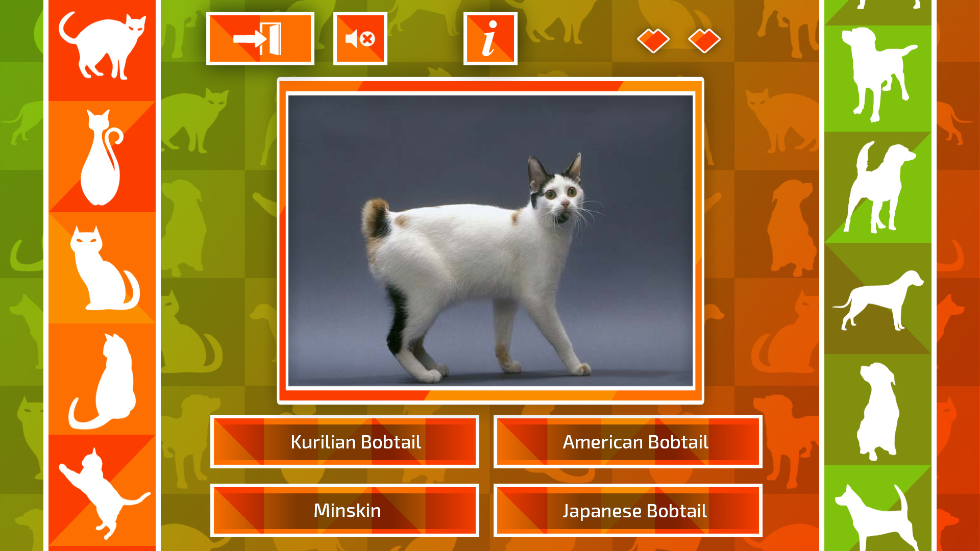 JQ: dogs & cats screenshot