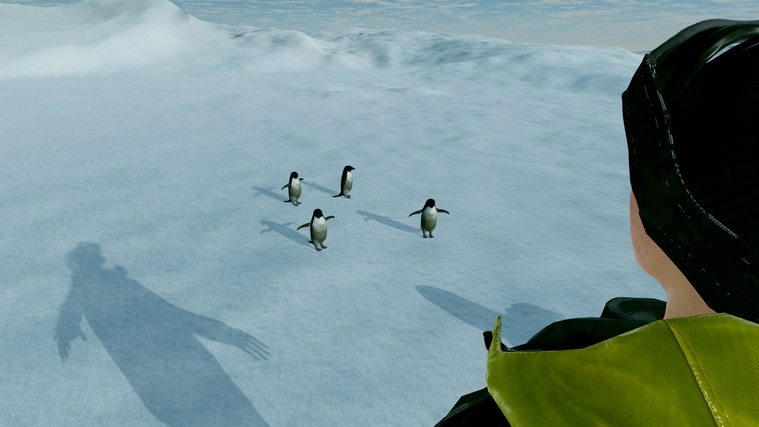 Kolb Antarctica Experience screenshot