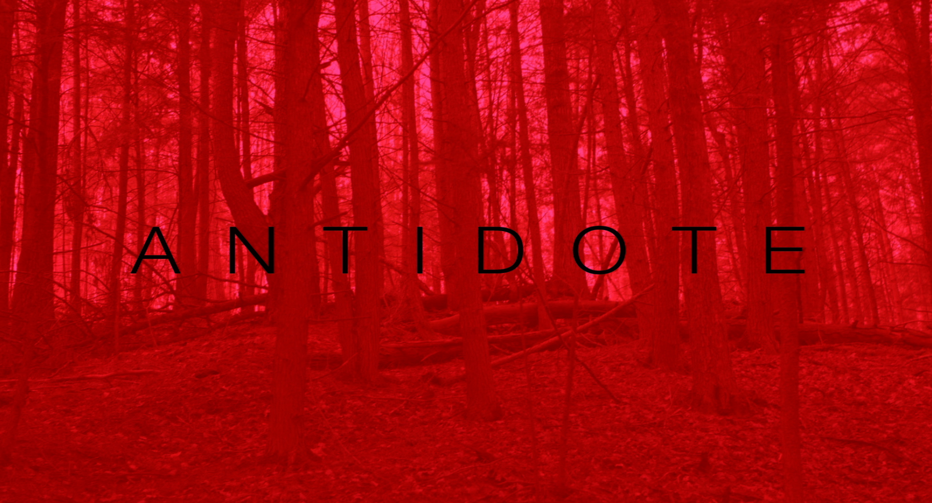 Antidote screenshot