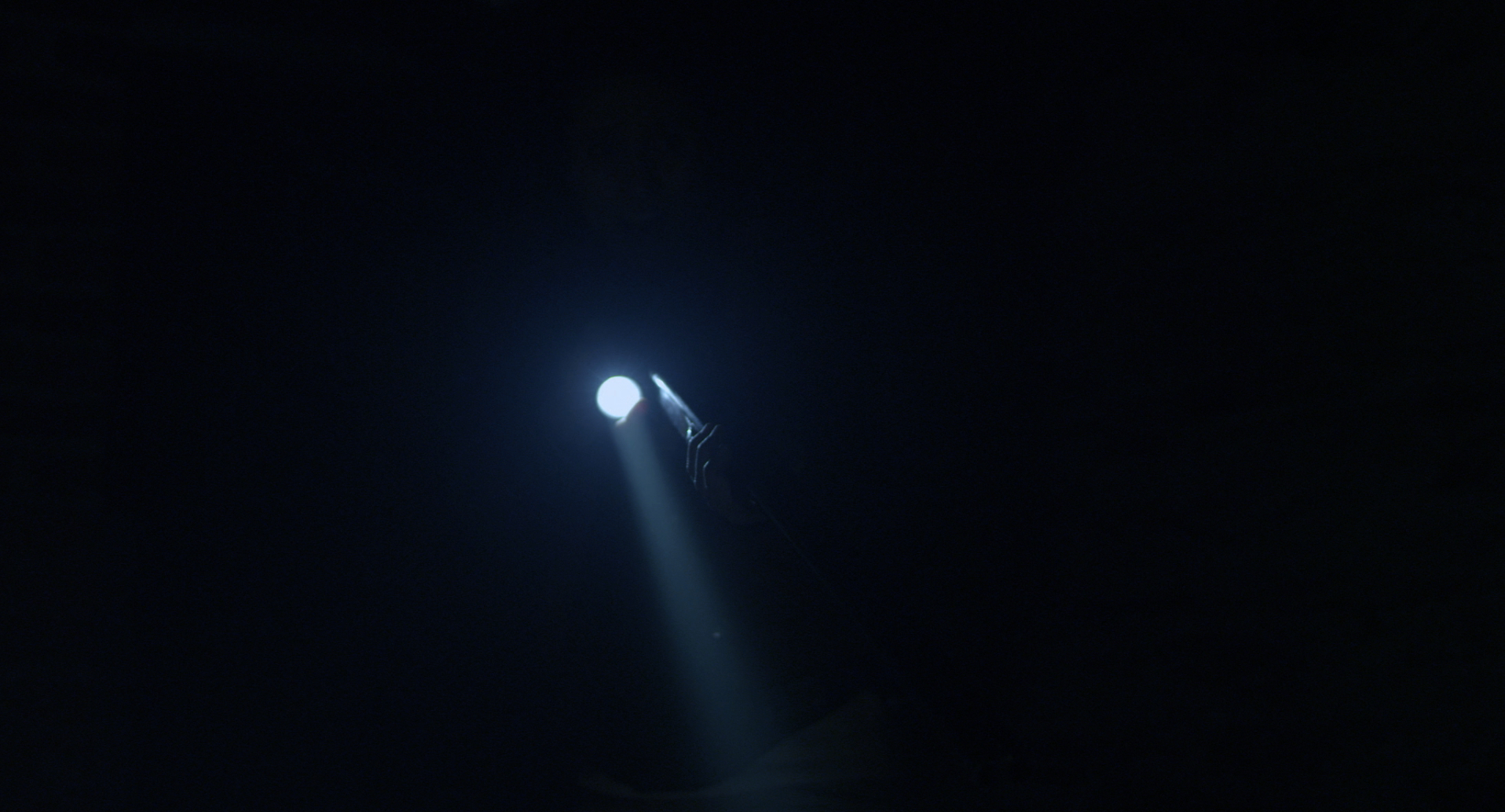 Antidote screenshot