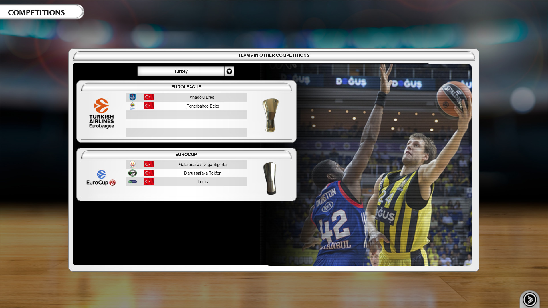International Basketball Manager screenshot