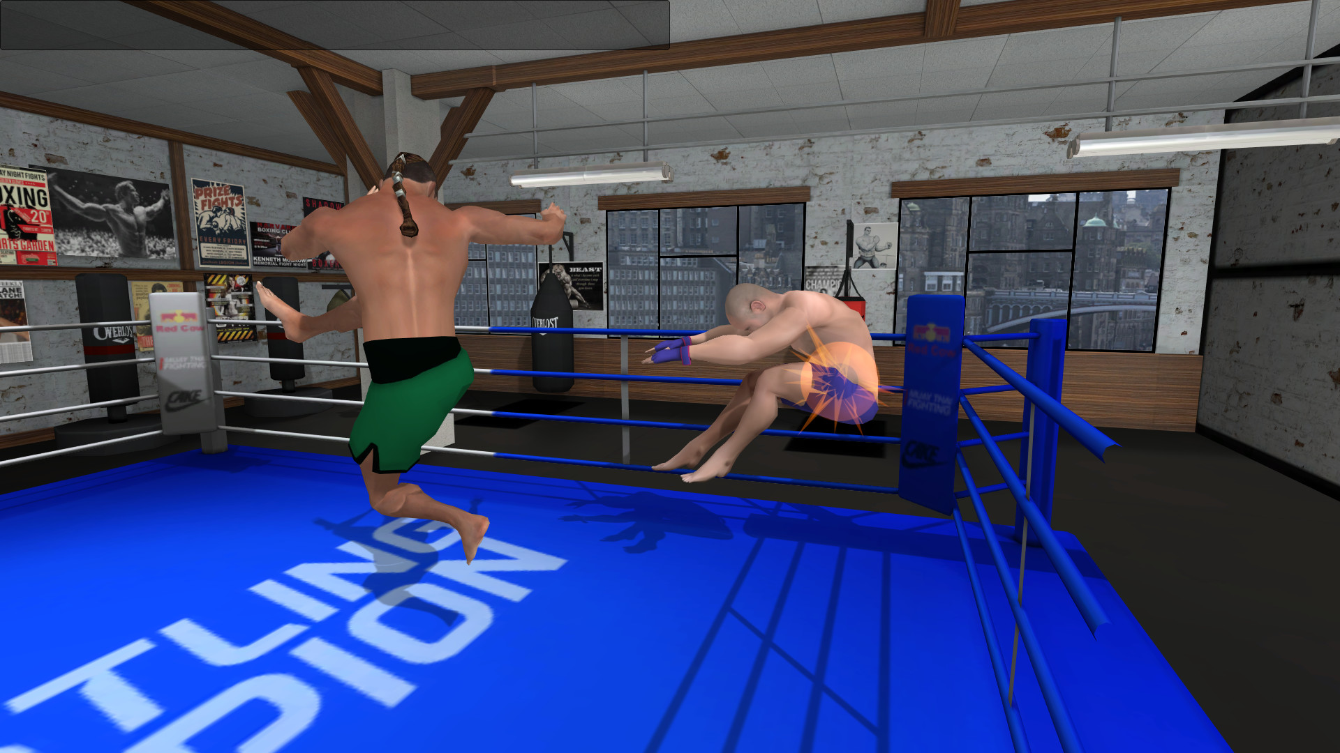 Wrestlers Without Boundaries screenshot