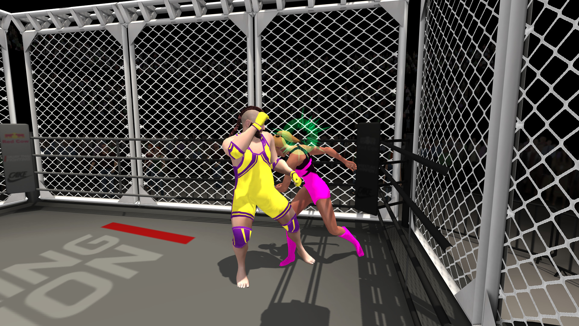 Wrestlers Without Boundaries screenshot