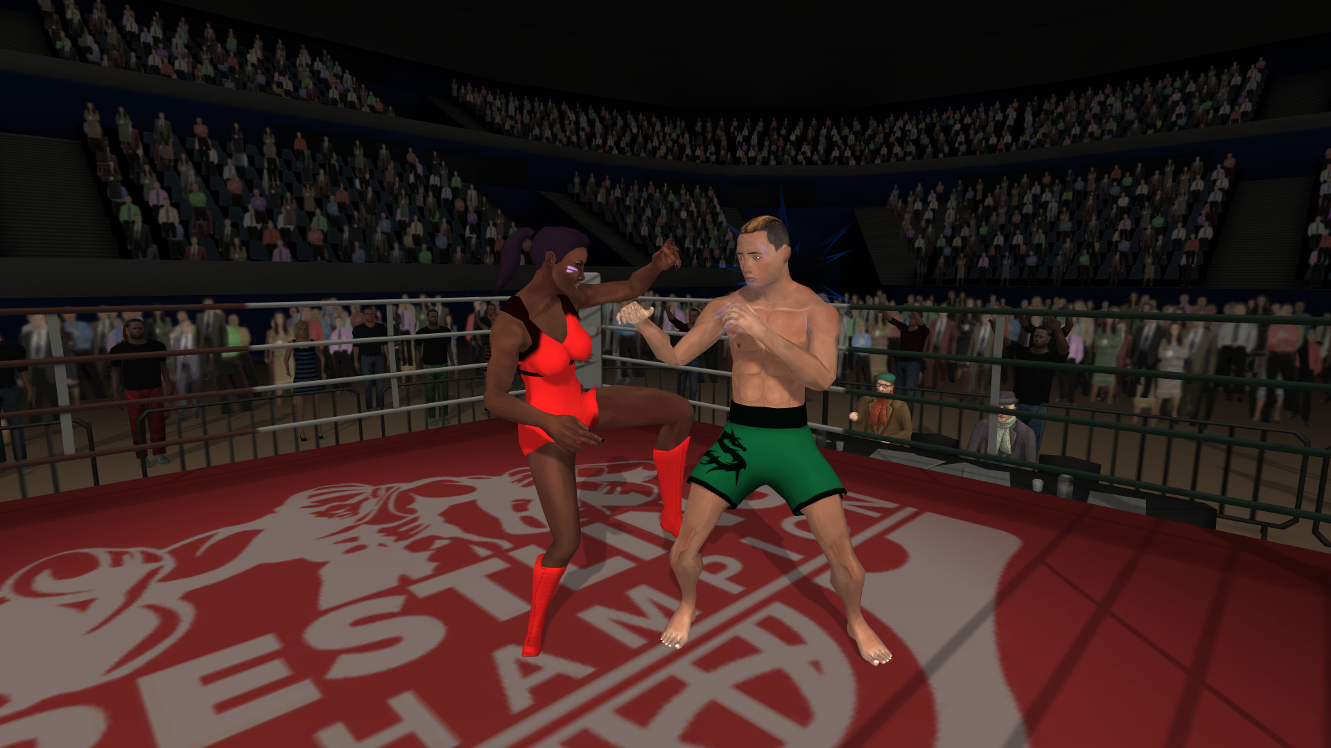 Wrestlers Without Boundaries screenshot