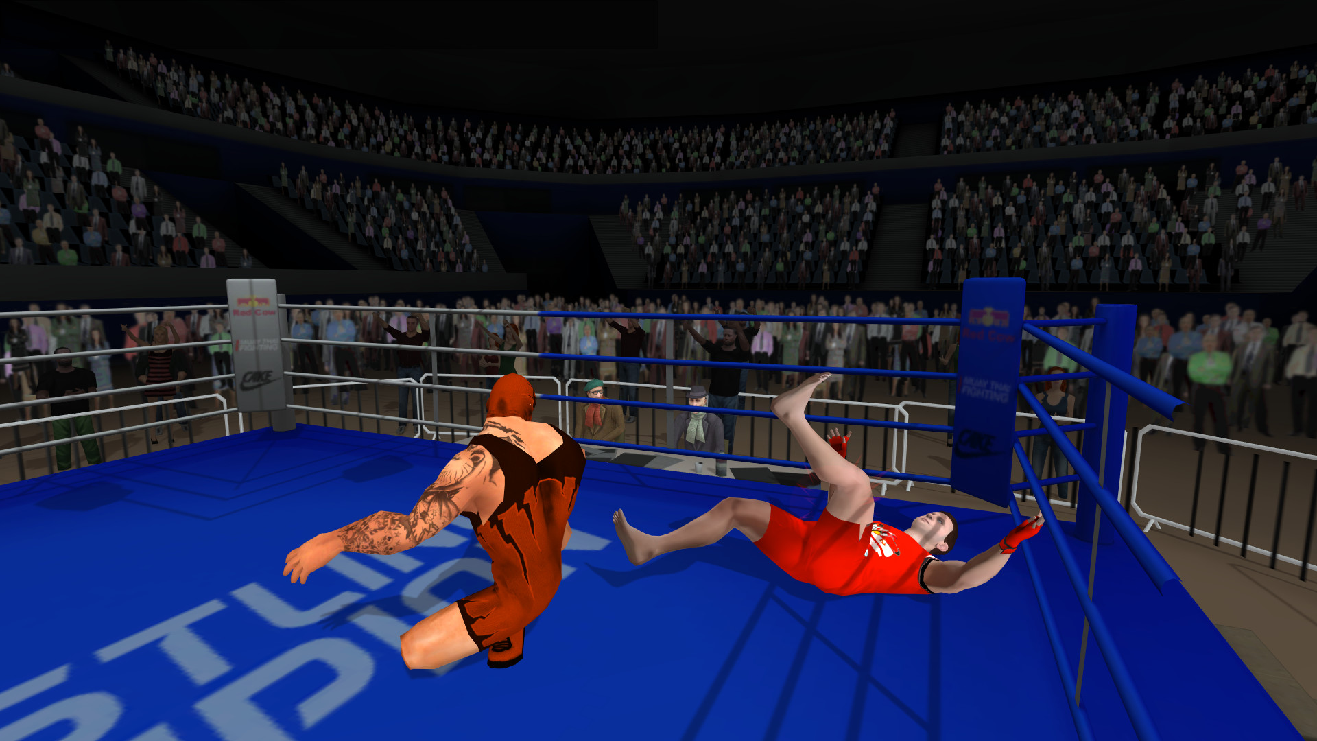 Wrestlers Without Boundaries screenshot