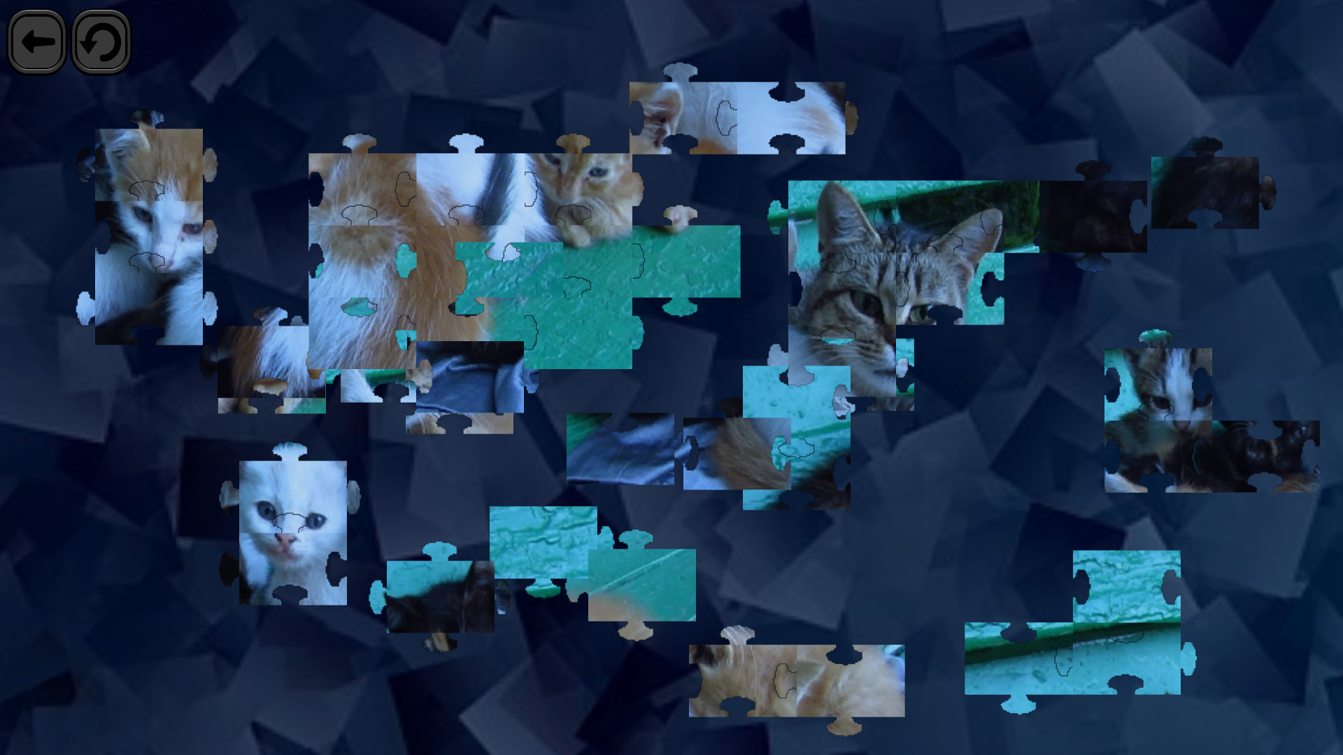 Puzzles for smart: Cats screenshot