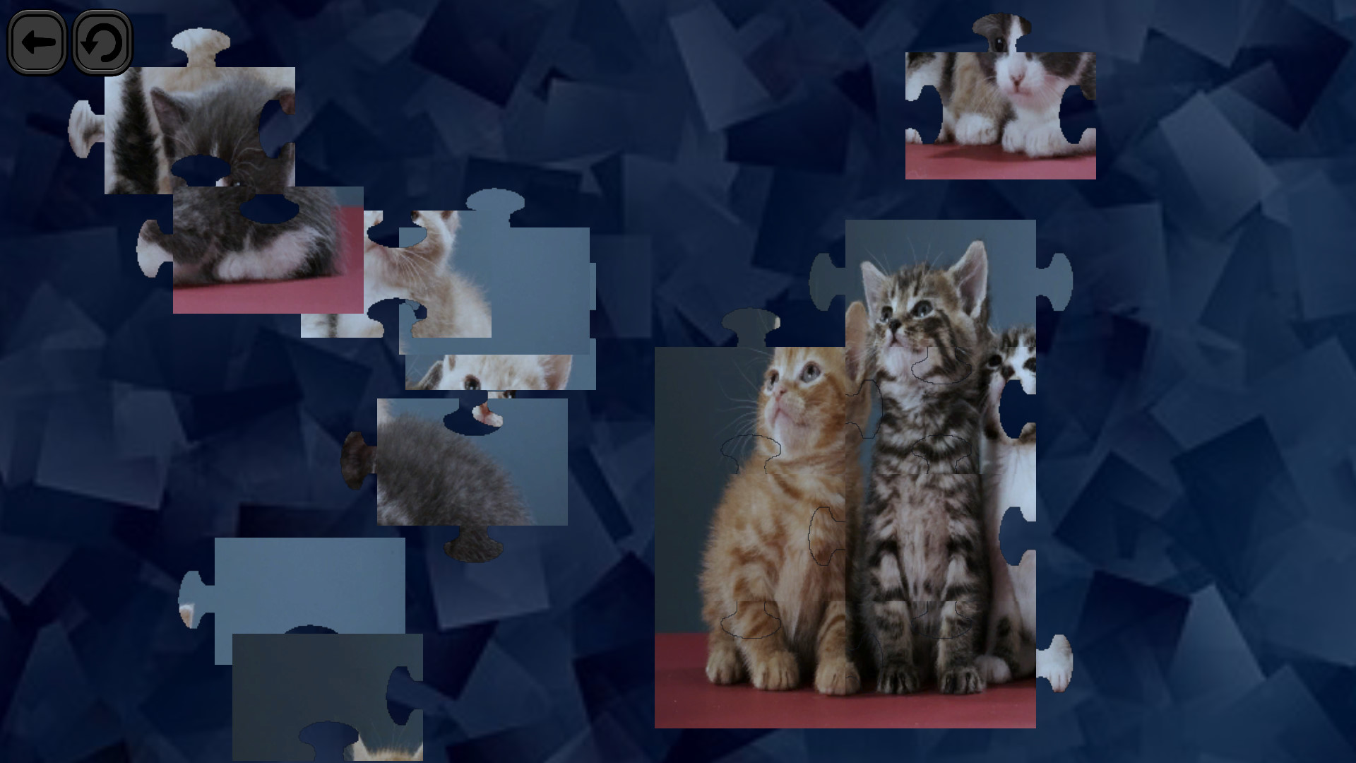 Puzzles for smart: Cats screenshot