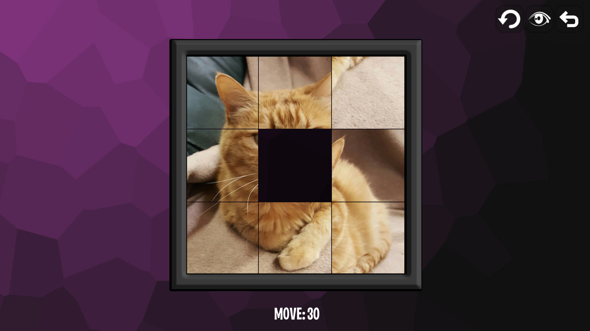 Intelligence: Cats screenshot