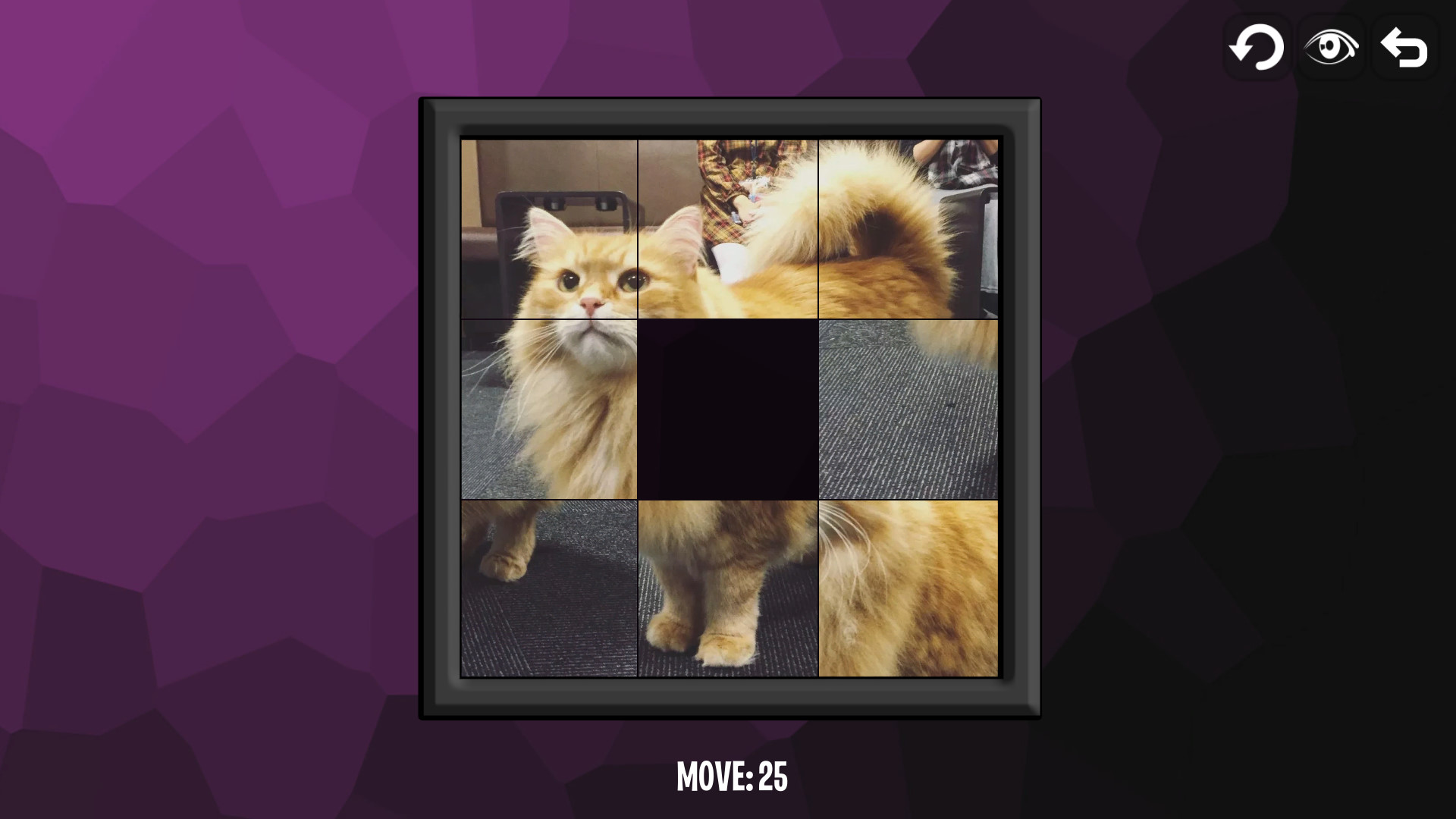 Intelligence: Cats screenshot