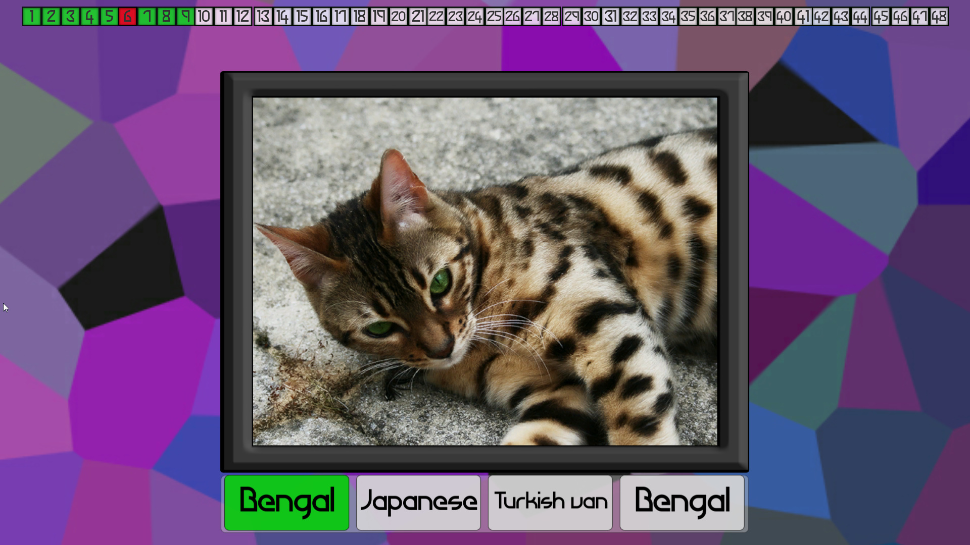 Test your knowledge: Cats screenshot