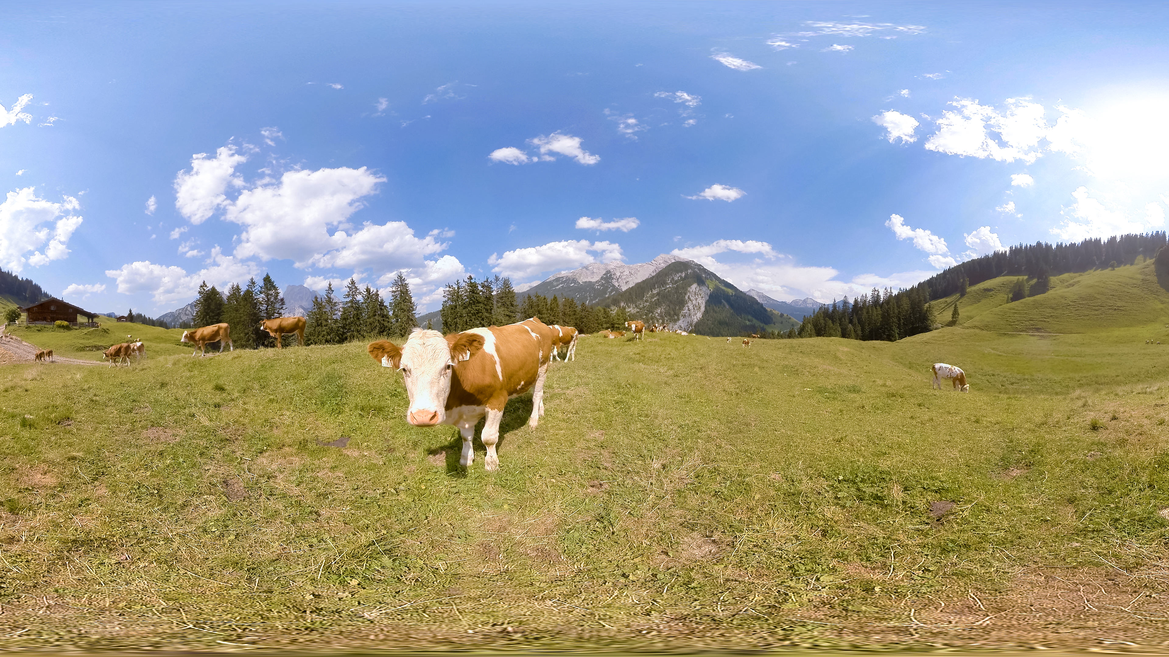 The Bavarian Alps | Sphaeres VR Relaxation | 360° Video | 6K/2D screenshot