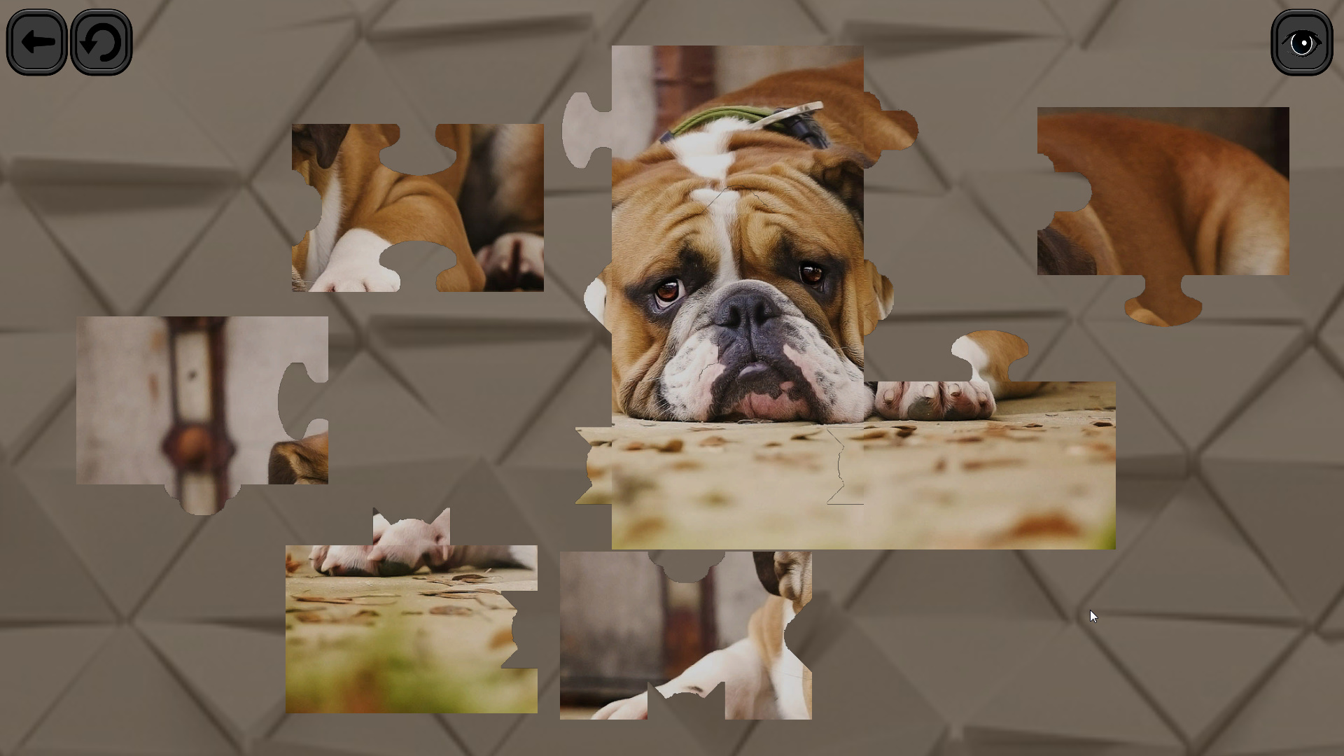 Puzzles for smart: Dogs screenshot