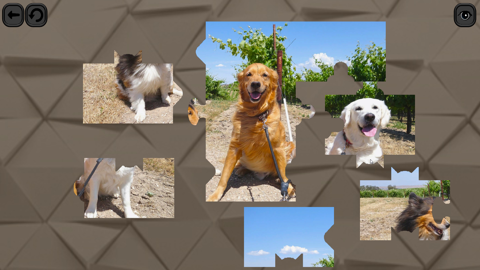 Puzzles for smart: Dogs screenshot