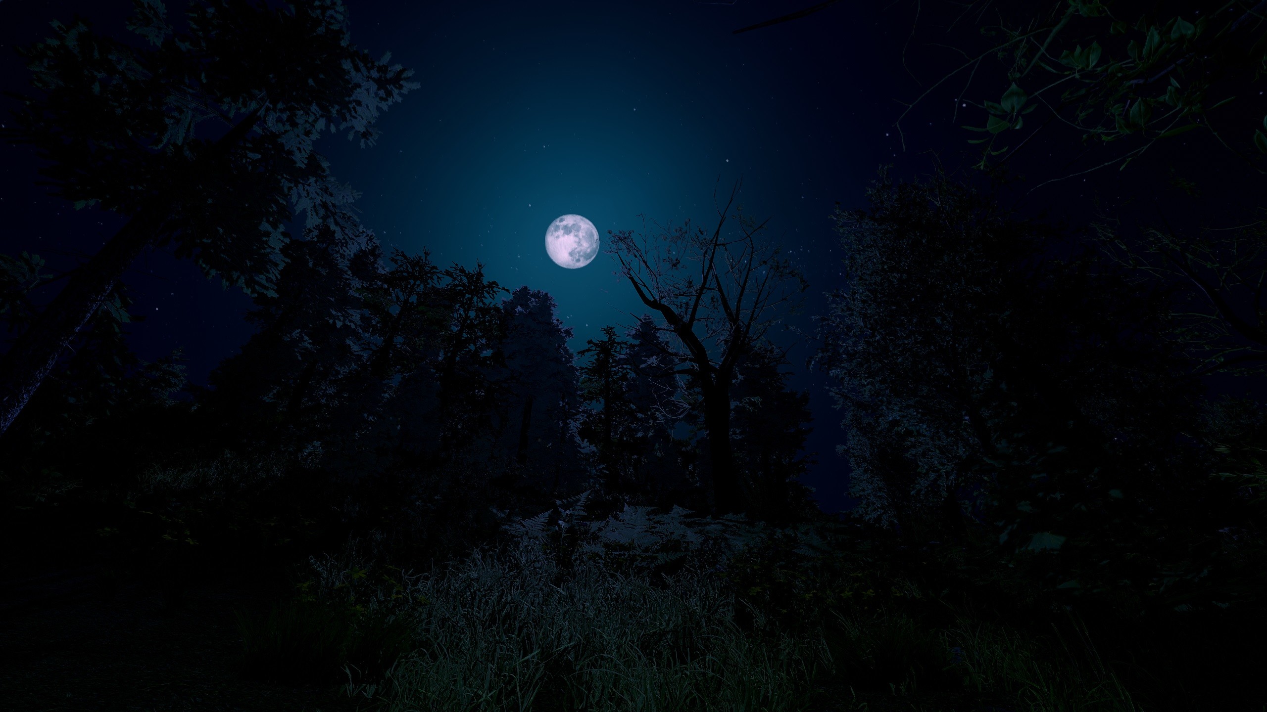 Trials of Wilderness screenshot