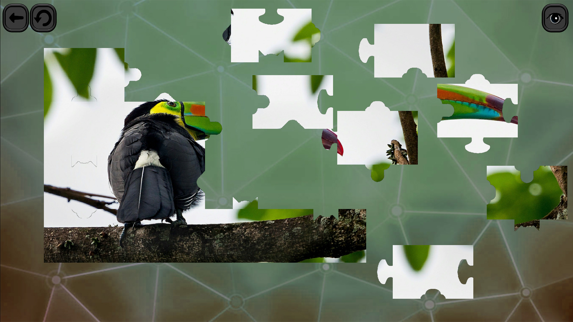 Puzzles for smart: Birds screenshot