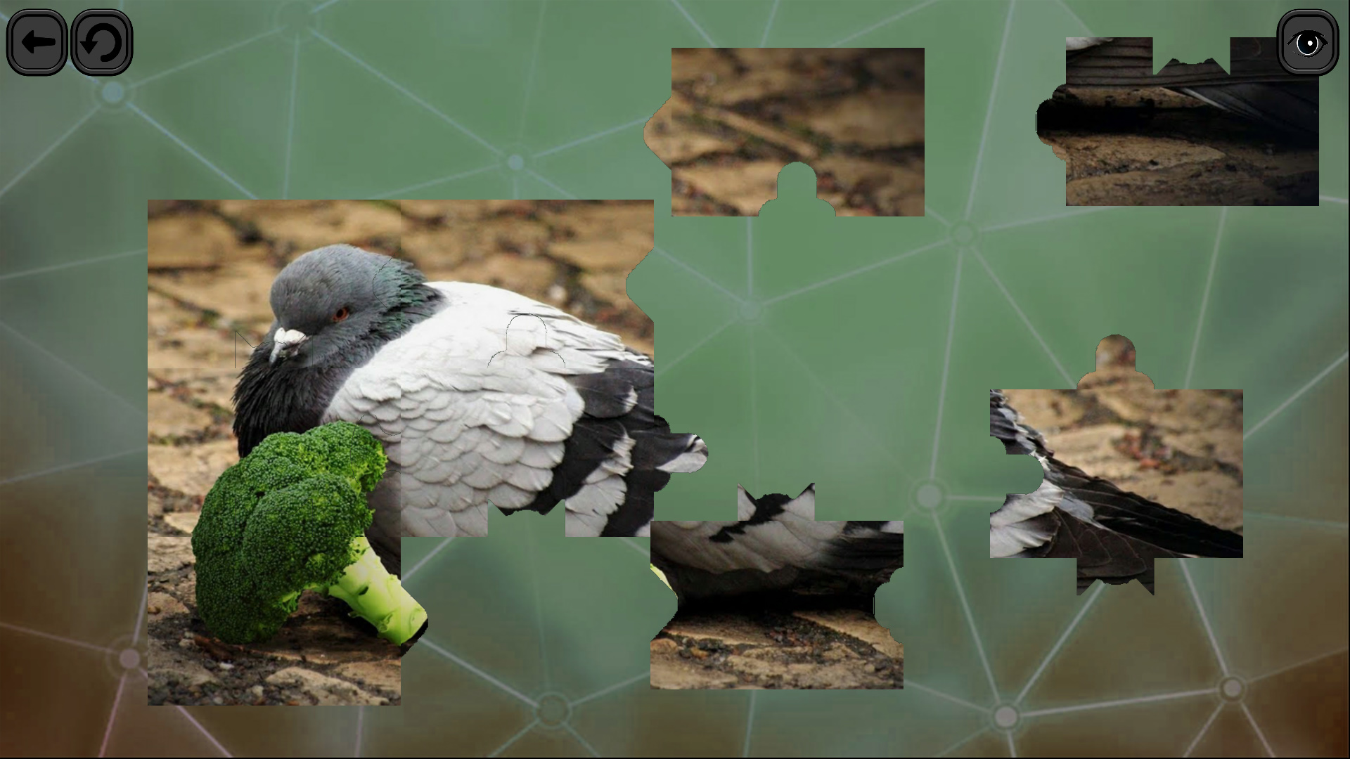 Puzzles for smart: Birds screenshot