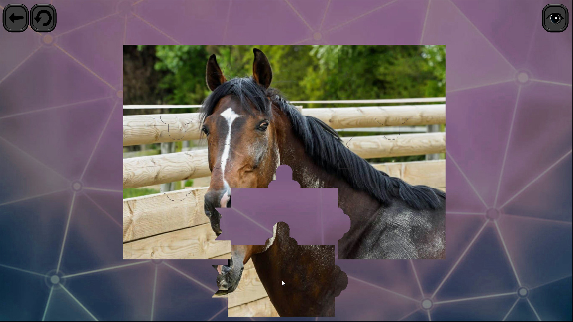 Puzzles for smart: Horses screenshot