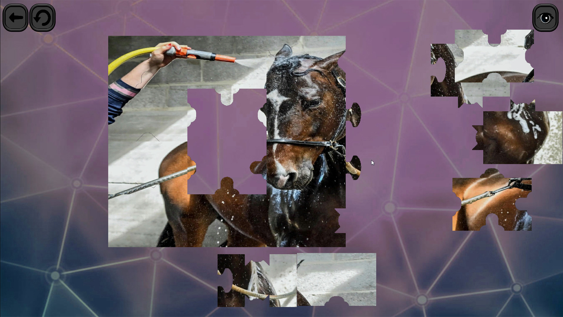 Puzzles for smart: Horses screenshot