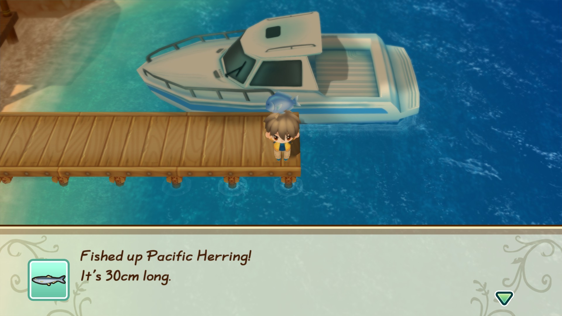 STORY OF SEASONS: Friends of Mineral Town screenshot