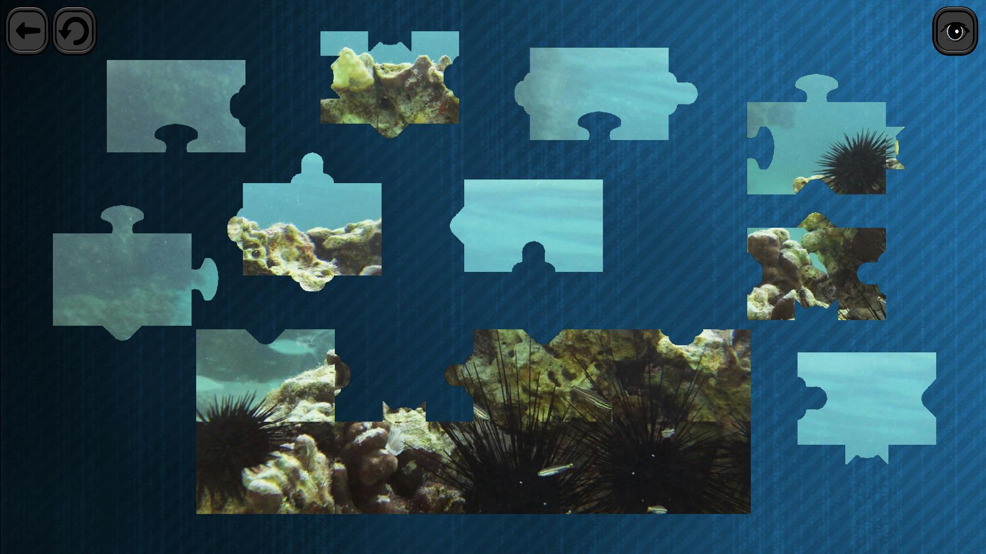 Puzzles for smart: Underwater Kingdom screenshot