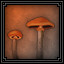 Icon for Infected Mushroom