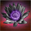 Icon for Fists of the Black Lotus