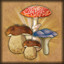 Icon for Mushroom-picker
