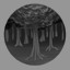 Secret of the Forest