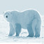 Polar Bear Territory