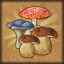 Icon for Excellent mushroom-picker