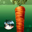 Carrot Man.