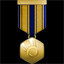 Icon for Pioneer Medal