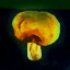 Icon for Collect 5 mushrooms