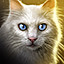 Icon for Stray Cat Strut