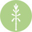 Icon for Aloe 'Blue Elf'