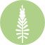 Icon for Aloe vera