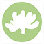 Icon for Sedum pachyphyllum