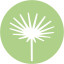 Icon for Cheiridopsis denticulata