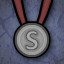 Icon for Silver Medal