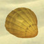 Icon for Collect 1 shell