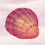 Icon for Collect 5 shells
