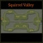 Icon for Squirrel Valley