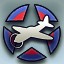 Icon for Allied aircaft expert