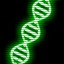 Icon for Genetic Adaption