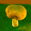 Icon for Collect 10 mushrooms