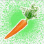 Carrot connoisseur