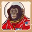 Icon for Space Monkey